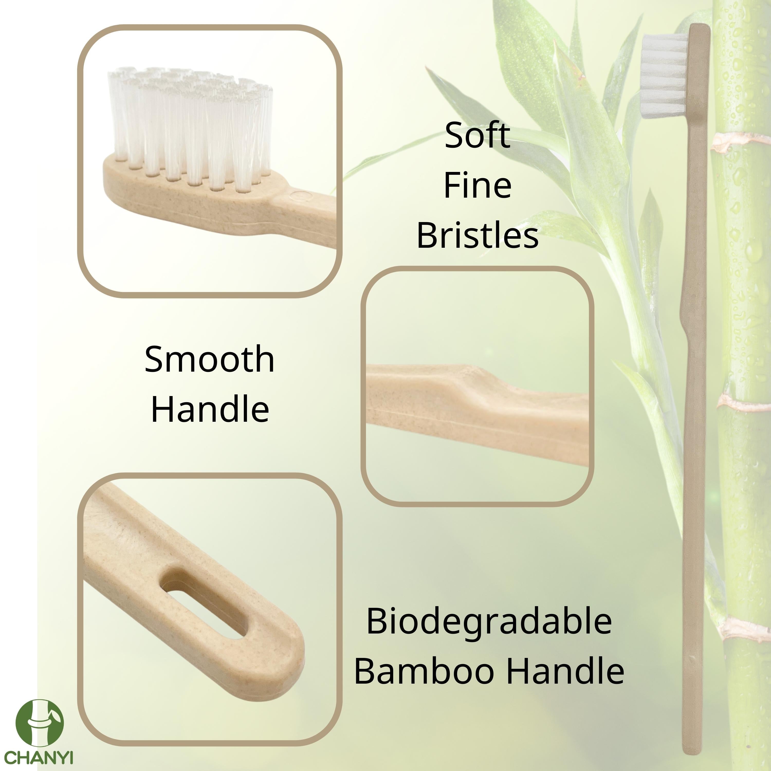 CHANYI Bamboo Toothbrushes - Medium - 100% Plant-Based Bamboo-Fiber Composite, Durable & Splinter Free, Fine BPA Free Bristles, 4 Individually Packaged Brushes - Adult